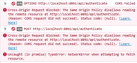 Cors Error Cors Error