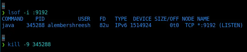 find-and-kill-error find-and-kill-error